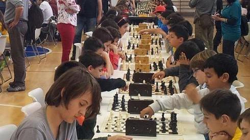 Il Circolo Asd Terranova riparte