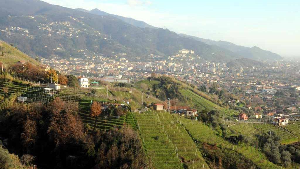 A prendersi cura dei fossi del Candia ora sono i viticoltori