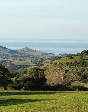 Gal, bocciato il piano il presidente Satta: «Ricorreremo al Tar» 