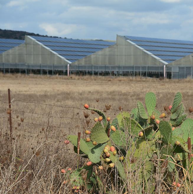 Serre fotovoltaiche, nuovi esposti da “S’Arrieddu” 