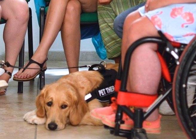 Cani speciali in corsia per curare i bambini con la Pet therapy 