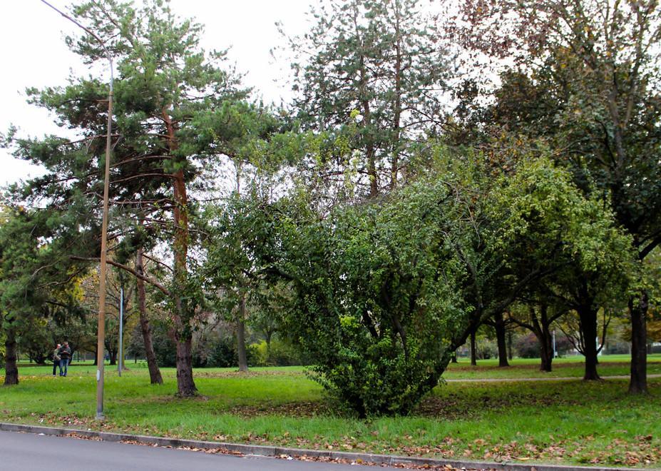 Si fingono giardinieri e arrestano lo spacciatore 