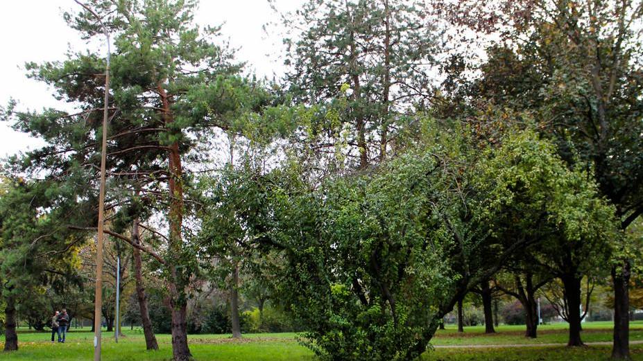 Si fingono giardinieri e arrestano lo spacciatore