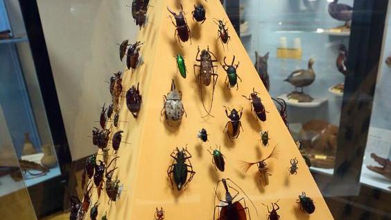 La scienza al servizio della cultura