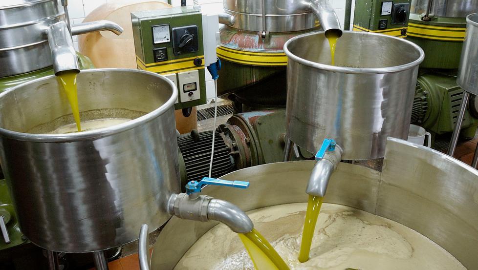 Promozione dell’olio di oliva di qualità 