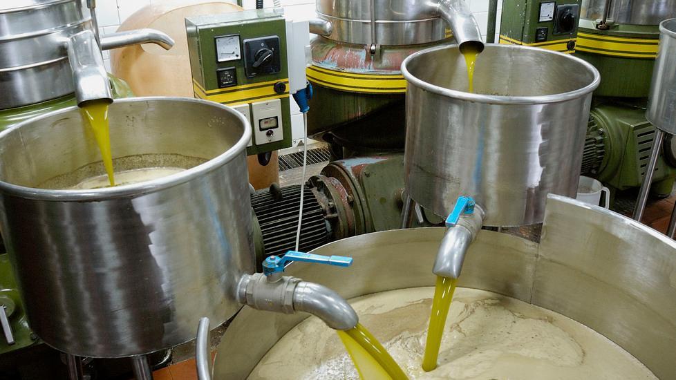 Promozione dell’olio di oliva di qualità