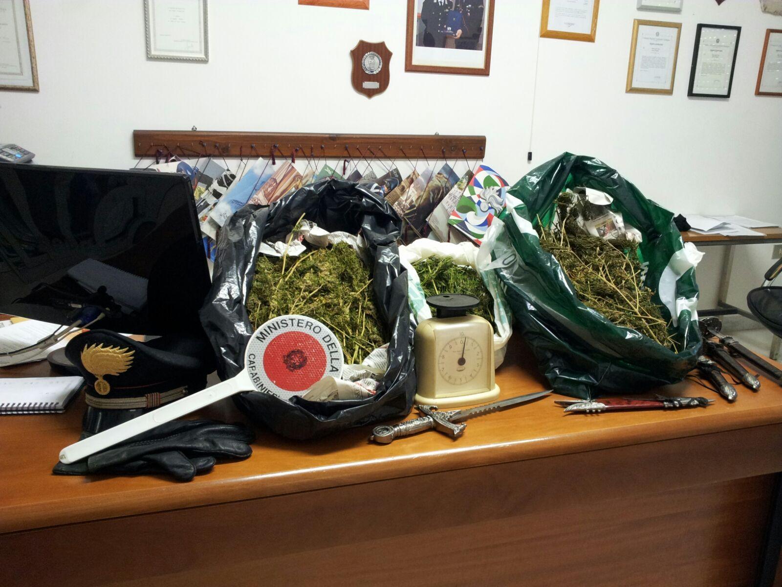 Sinnai, in casa due chili e mezzo di marijuana e coltelli proibiti