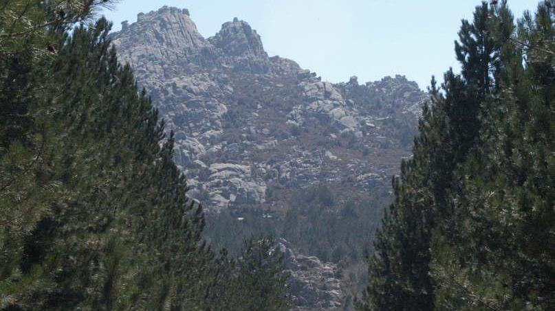 Limbara, tante idee per il rilancio