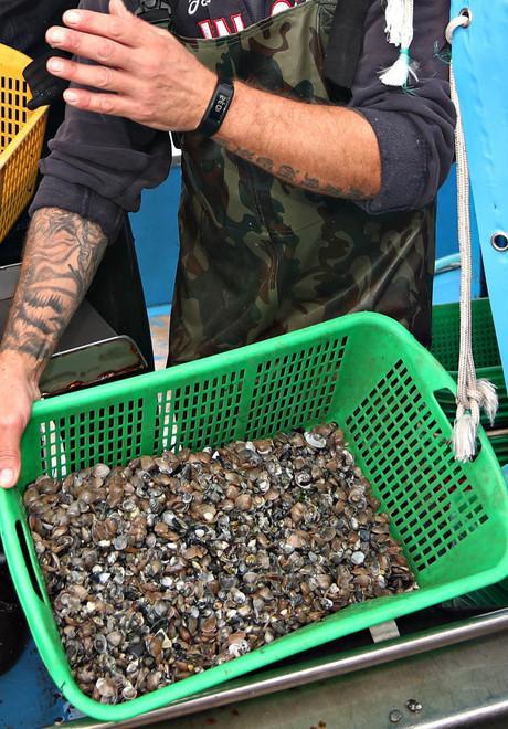 Aree a rischio nella Sacca Rivolta delle cooperative 