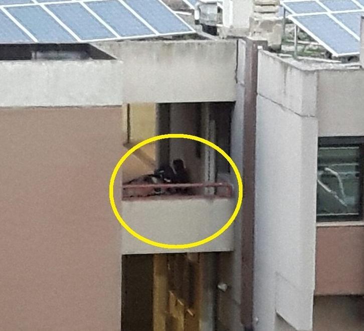 L'edificio di via Inghilterra usato come dormitorio: nel circoletto giallo uno degli "ospiti"