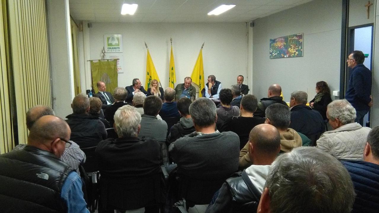 Vivai Bruschi, spunta una soluzione per i creditori