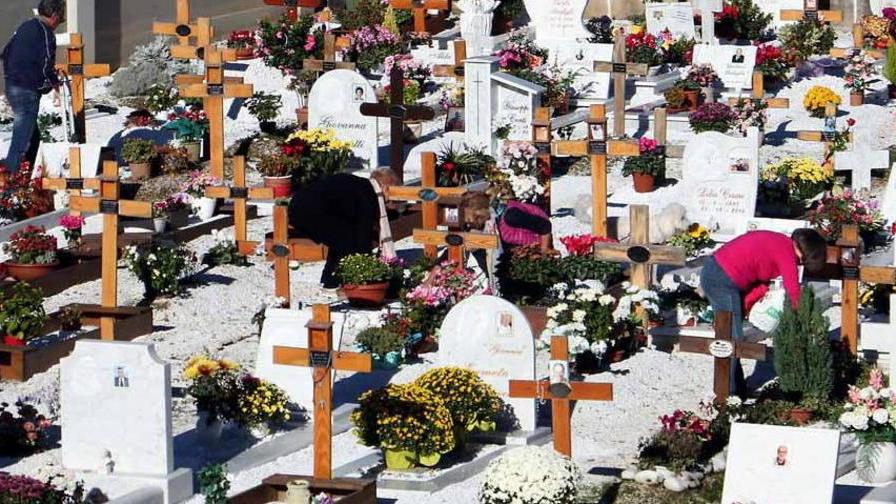Incaricati di pulire le tombe sradicano i fiori