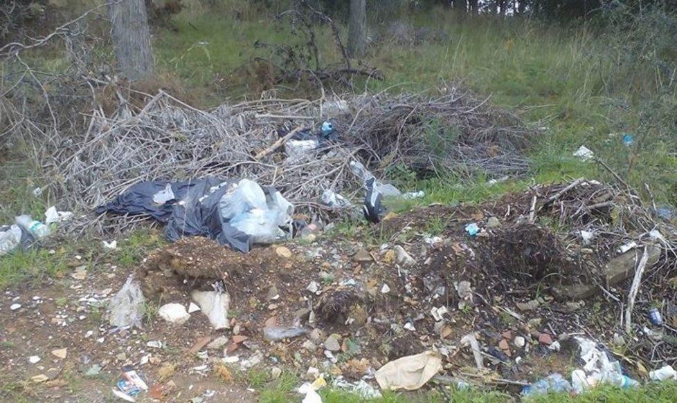 Rifiuti abbandonati nel Parco Una passeggiata per pulire