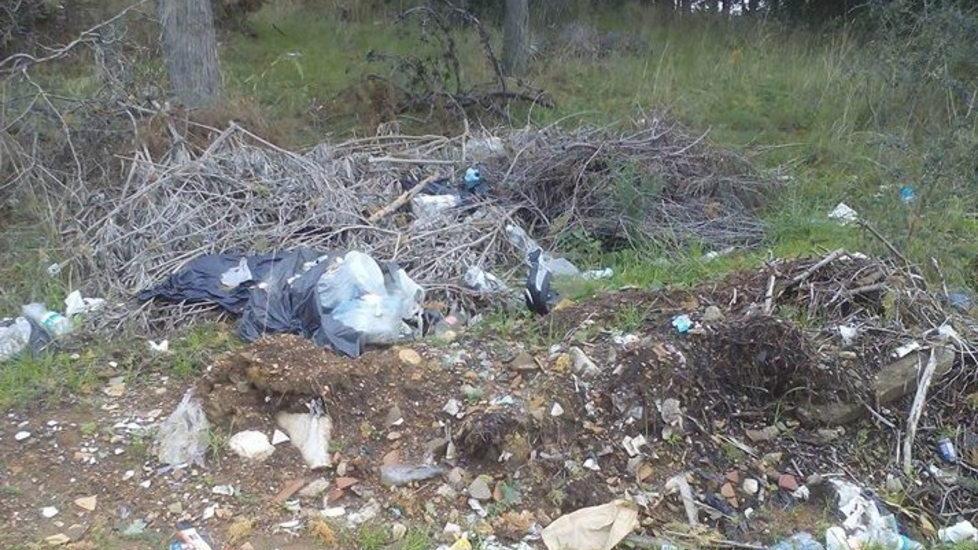 Rifiuti abbandonati nel Parco Una passeggiata per pulire