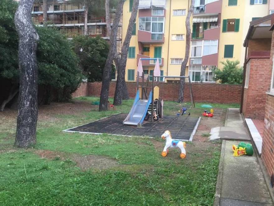 Via i bisogni dei cani pulizia straordinaria del giardino dell’asilo 