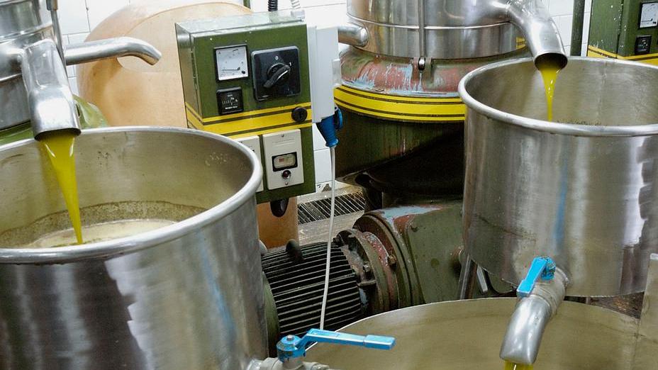 Campagna olivicola, meno produzione ma di qualità