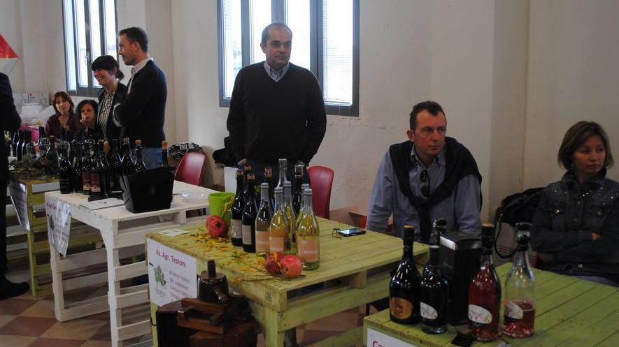 Vini e vitigni radicati nella sabbia protagonisti della rassegna sul Po