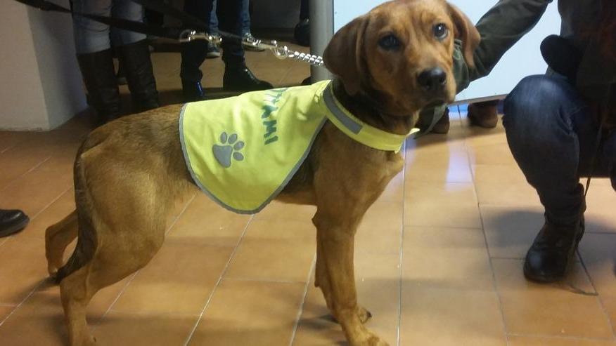 Mi chiamo Bimba, mi vuoi?
