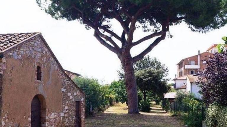 Venturina e le sue radici storiche «Dobbiamo riportarle alla luce»