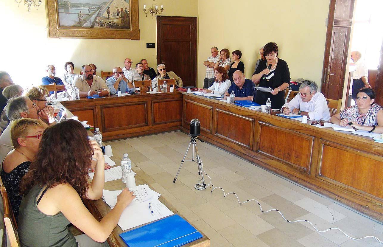 Cosetta Pellegrini parla in consiglio comunale