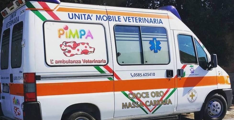 L’ambulanza Pimpa è a mezzo servizio 