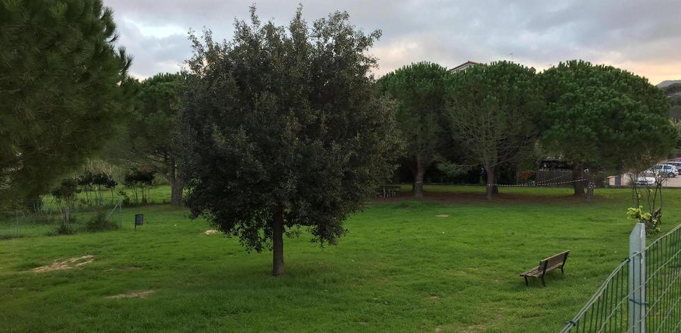 C’è l’ordinanza, via i cani dai giardini dell’Albereto