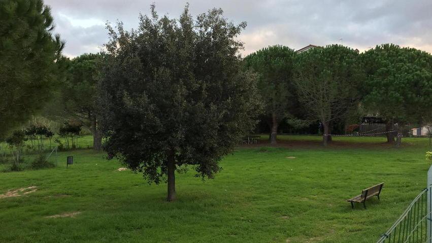 C’è l’ordinanza, via i cani dai giardini dell’Albereto
