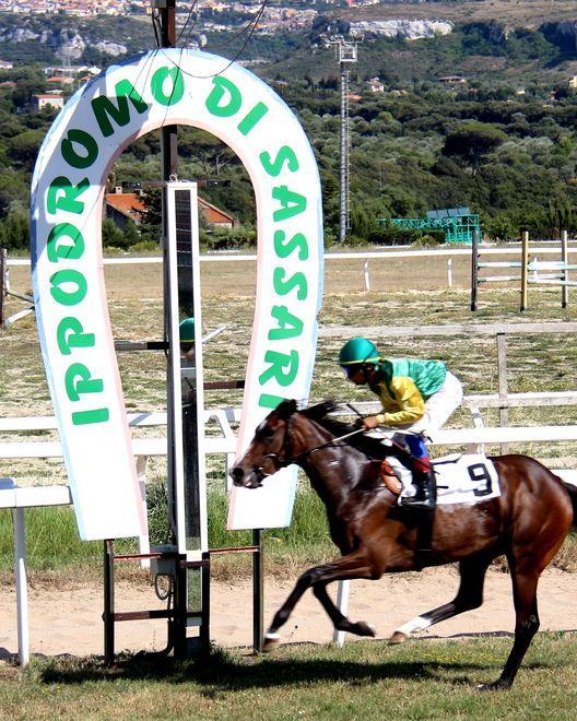 Gran finale oggi a Sassari con il Memorial Maciocco