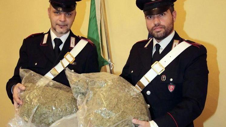 La droga sequestrata