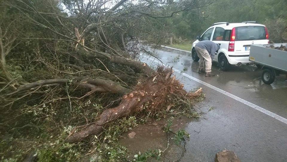 Una tromba d'aria flagella l'Alta Gallura: disagi sulla Tempio-Olbia