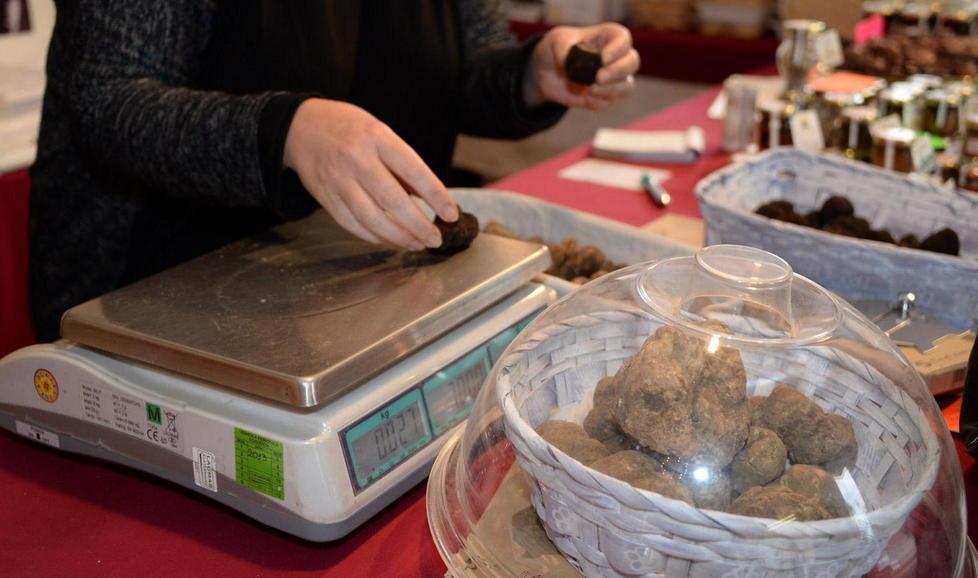 Quando tartufo fa rima con Pinocchio 
