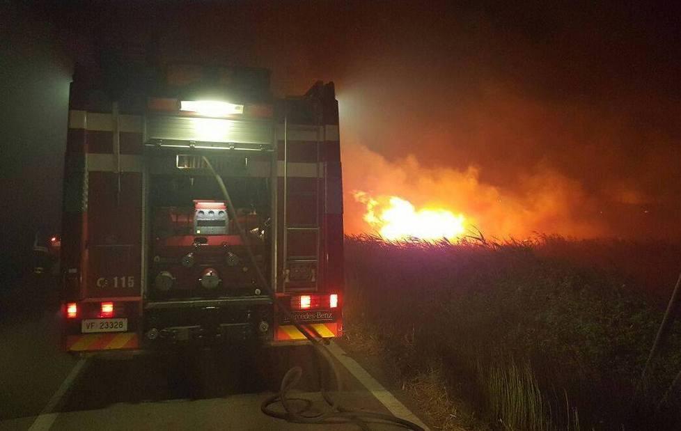 Molti roghi, aziende danneggiate 