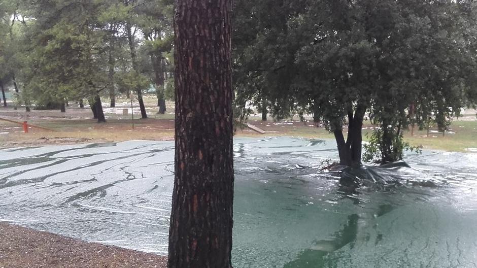 Immagine del Comune di Livorno