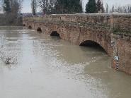 ponte motta