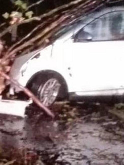 Arnaccio, due feriti Auto contro albero caduto sulla strada 