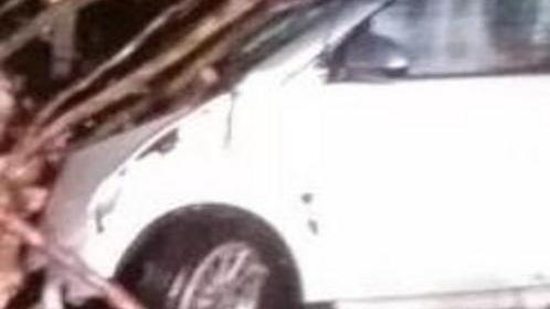 Arnaccio, due feriti Auto contro albero caduto sulla strada