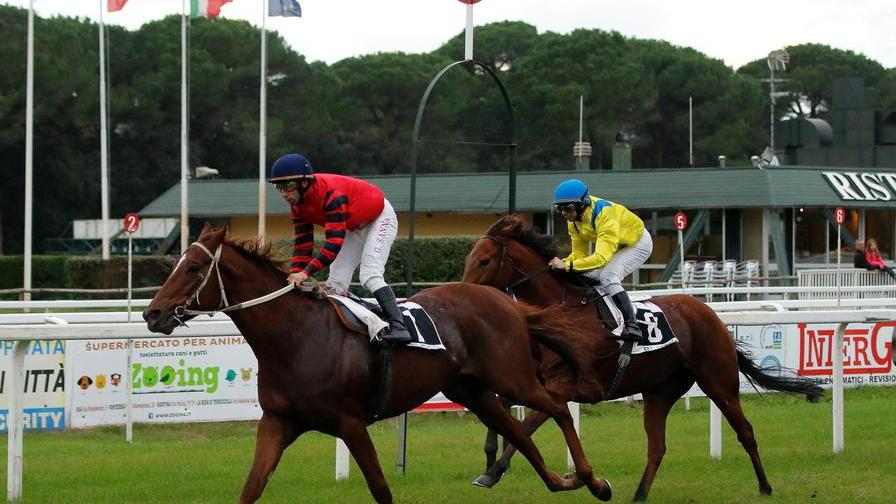 Ippica, Big Bradon è il primo a festeggiare a San Rossore