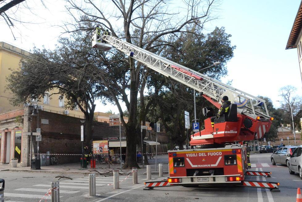 Superlavoro per i vigili del fuoco