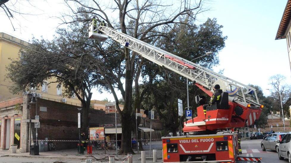 Superlavoro per i vigili del fuoco
