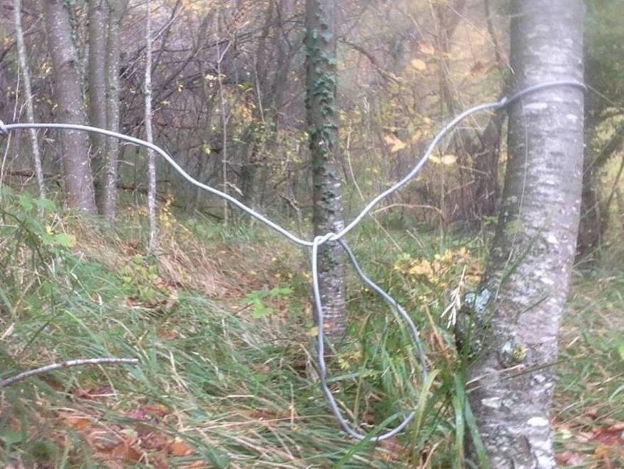 Trappola letale nel bosco vicino al centro 
