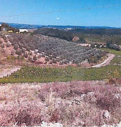 Terreni e aziende i gioielli del Chianti finiscono all’asta 
