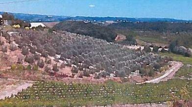 Terreni e aziende i gioielli del Chianti finiscono all’asta