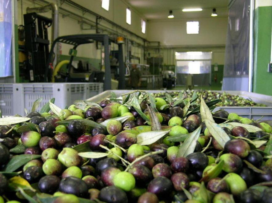 Sempre un olio di qualità, però non sarà abbondante