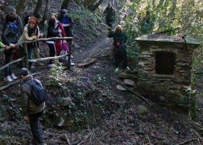 Biker cade nel bosco, arriva l’elicottero 