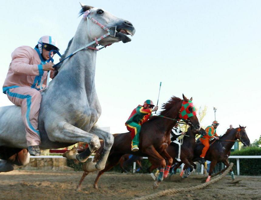 Il Palio di Fucecchio 2016 (Foto Agenzia Carlo Sestini)