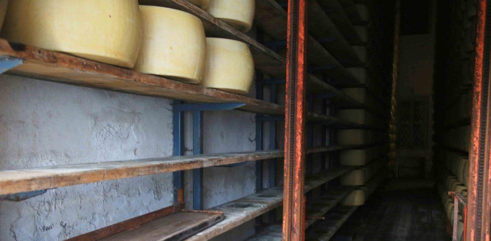 Furto in latteria a Gavasseto, rubate novanta forme di Reggiano