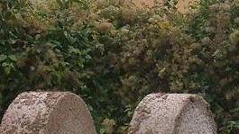 «Salviamo l’antica strada di mulini e frantoi»