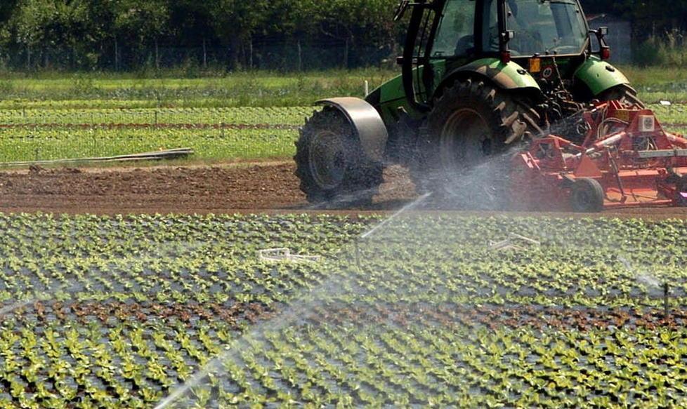 Soldi all’agricoltura innovativa 