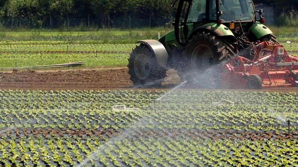 Soldi all’agricoltura innovativa