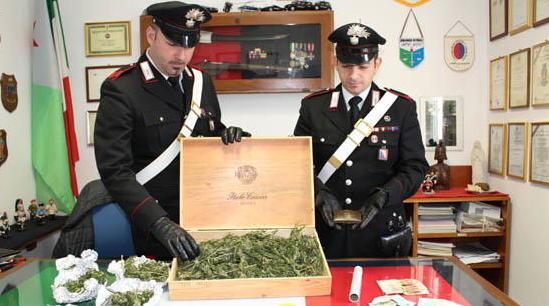 Hashish e marijuana due arresti a Massarosa